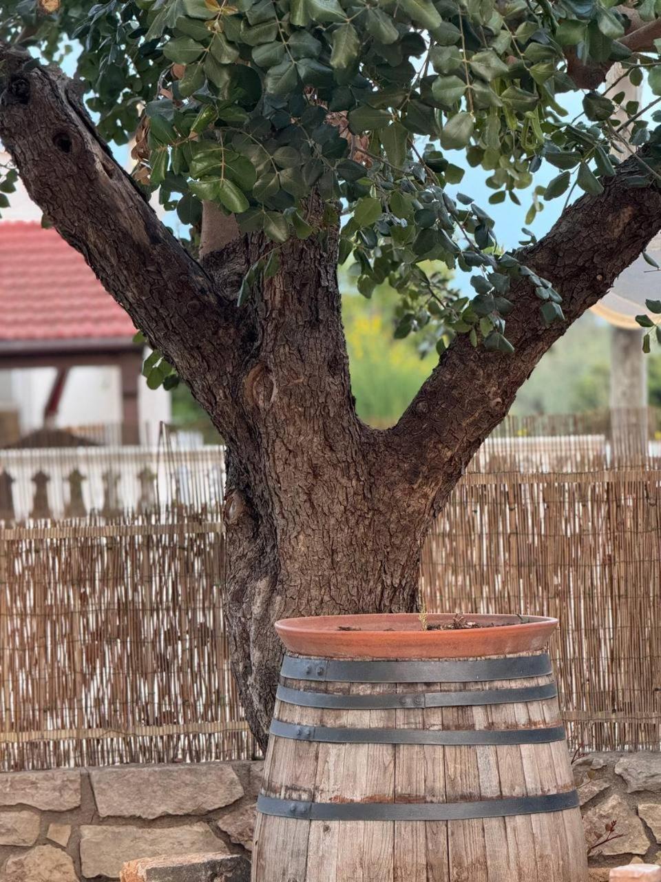מונטלבאנו Ulivi Di Minerva - Boutique Holiday Home - Ostuni - Fasano - Cisternino מראה חיצוני תמונה